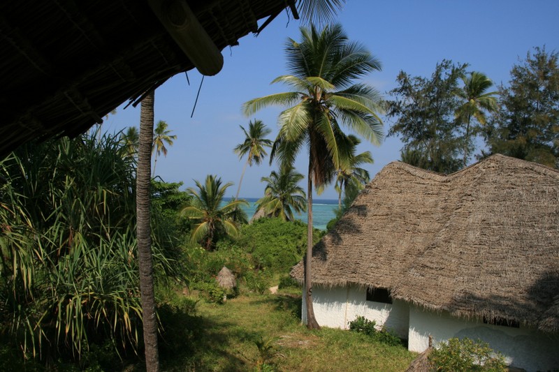 Framme på Zanzibar o...