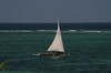 En Dhow.